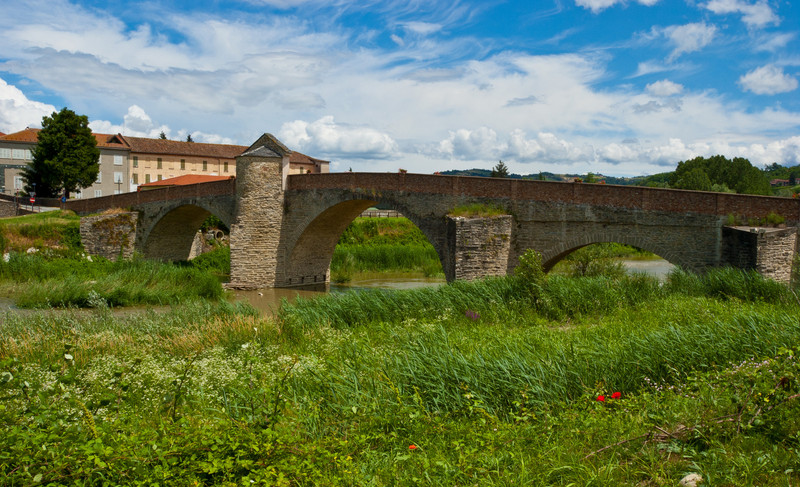 ''papaveri solitari'' - Monastero Bormida