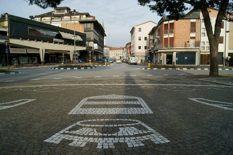 ''Lo stemma'' - Camisano Vicentino