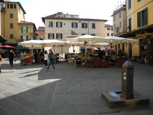 49623-800x600 49623-800x600