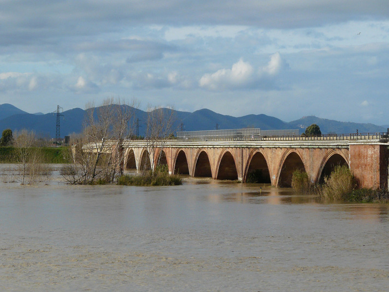 ''Quando tanta… quando niente…..'' - Grosseto