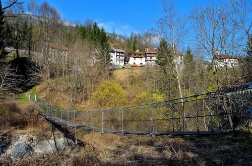 50234-800x529 50234-800x529