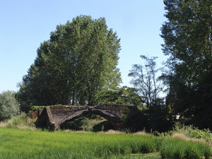 Ponte medievale Sec XIII, 2, con risaie a Proh