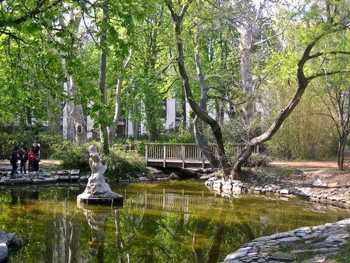 50954-800x600 50954-800x600