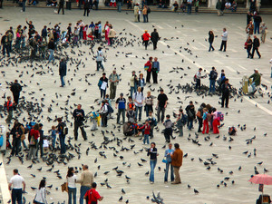 vivere piazza san Marco