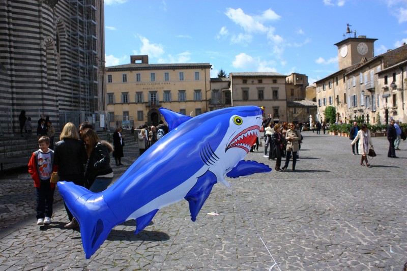 ''Uno squalo in…Piazza Duomo!'' - Orvieto