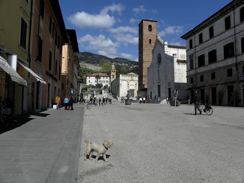 ''Barboncino in Piazza'' - Pietrasanta