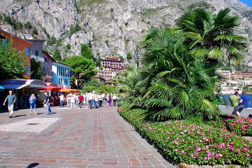 51841-800x535 51841-800x535