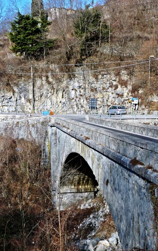 52575-505x800 52575-505x800