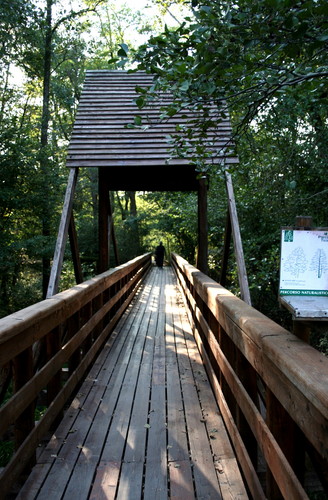 52730-524x800 52730-524x800