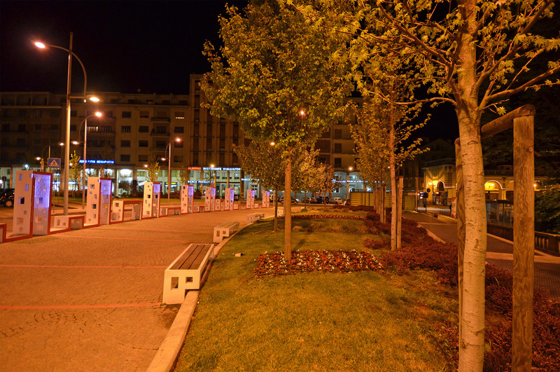 ''I dodici principi fondamentali'' - Novi Ligure