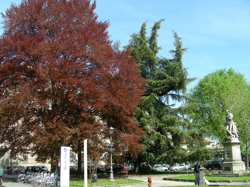 ''BODONI Illustre saluzzese'' - Saluzzo