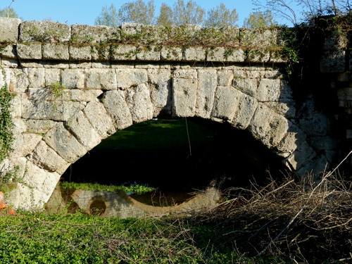 54100-800x600 54100-800x600