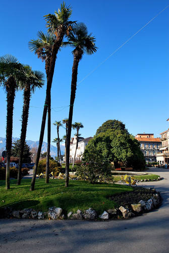 54386-537x800 54386-537x800