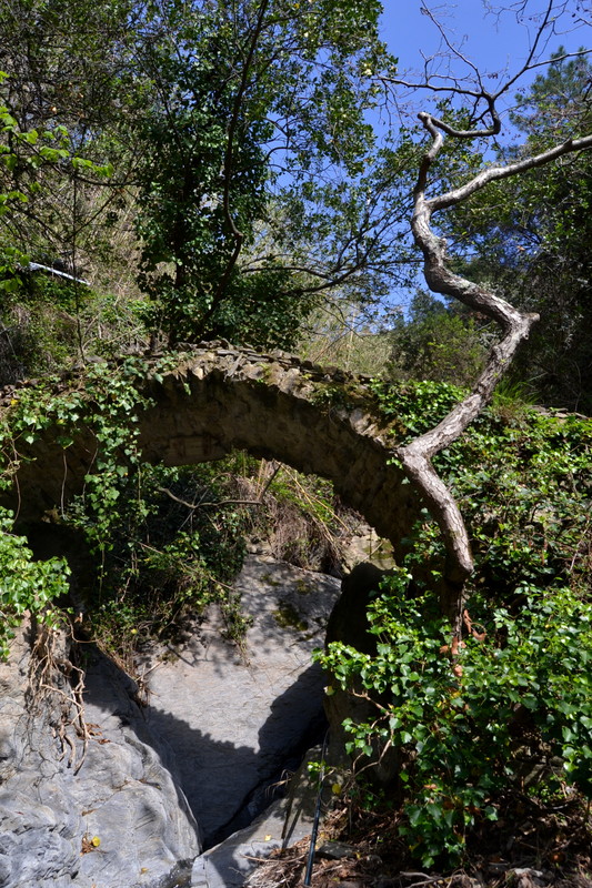 ''C’era una volta nel bosco…'' - Monterosso al Mare