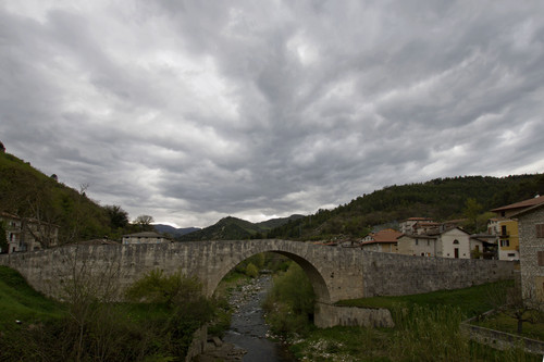 54556-800x533 54556-800x533