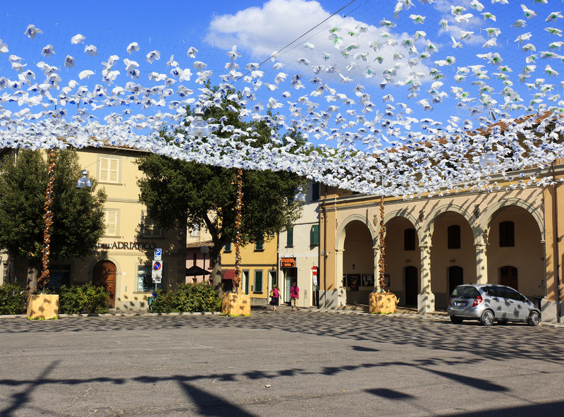 ''Fiori'' - Fermignano