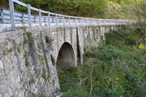 OLYMPUS DIGITAL CAMERA OLYMPUS DIGITAL CAMERA