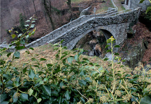 Lungo la via Francigena