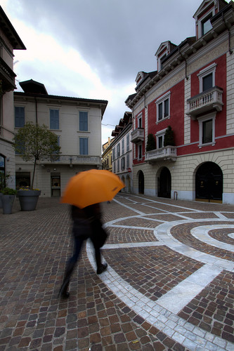 55863-533x800 55863-533x800