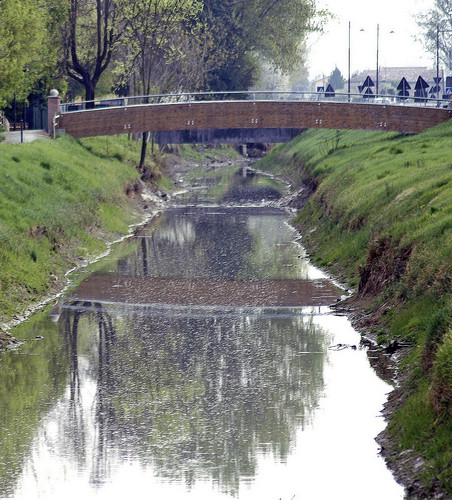 55955-723x800 55955-723x800