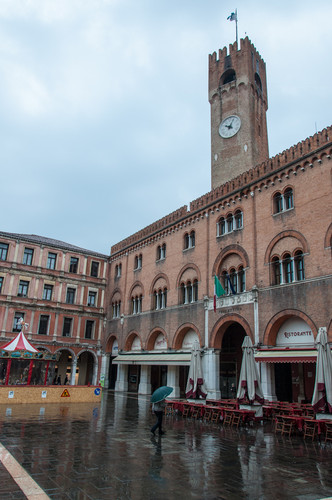 55977-531x800 55977-531x800