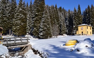 Ultima neve a Paneveggio