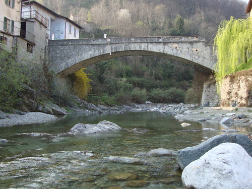 56573-800x600 56573-800x600