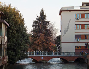 E’ giunta l’ora di buttarsi!