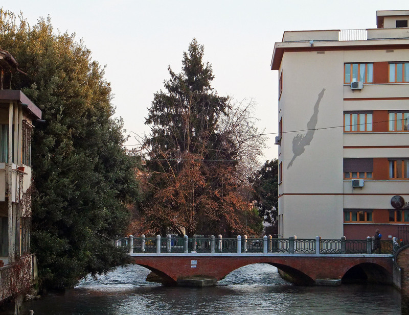 ''E’ giunta l’ora di buttarsi!'' - Treviso