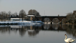 Aiuto…sta arrivando Mario!
