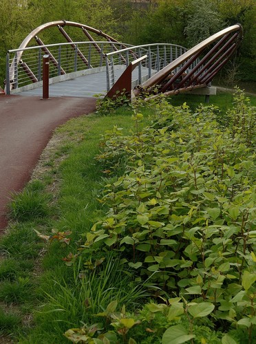 58087-596x800 58087-596x800