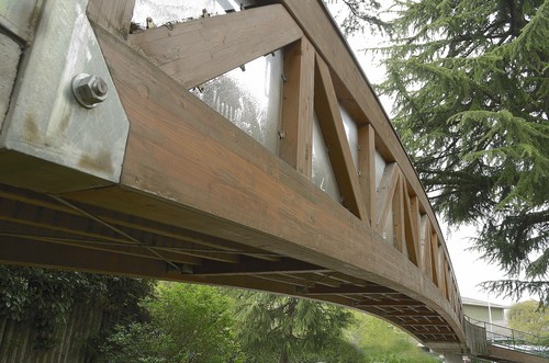 58629-800x529 58629-800x529