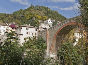 Il Ponte e il fiore