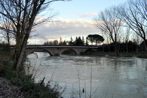 Ponte nuovo