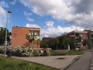 Piazzetta Dell’ischio