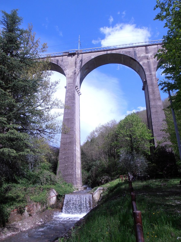 ''Tra il verde'' - Pistoia