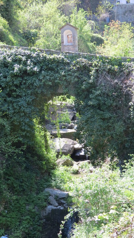 ''Ponte ricoperto dalla vegetazione primaverile'' - Ceriana