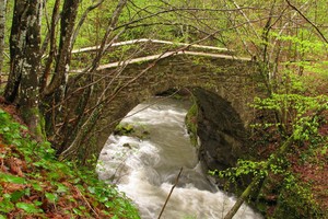 Ponte Romanico sul torrente Pistiano