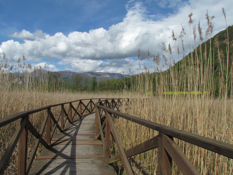 ''oasi naturalistica'' - Villa d'Adda