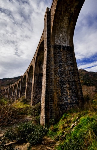 61793-517x800 61793-517x800