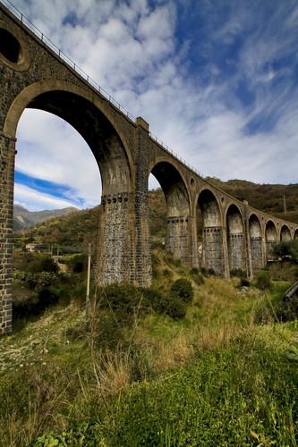 61819-533x800 61819-533x800