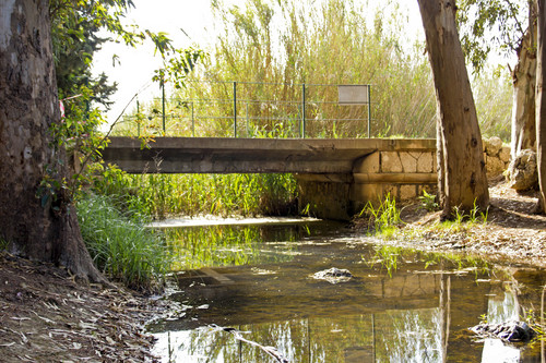 62010-800x533 62010-800x533