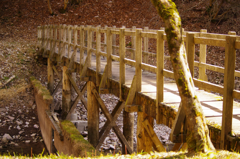 ''Ponticello sul rio Bior'' - Molveno