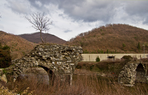 63109-800x515 63109-800x515