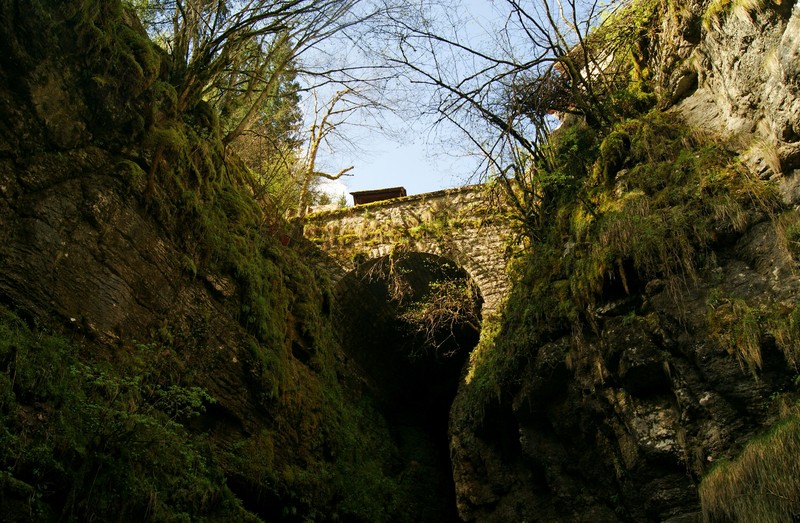 ''Sul canyon'' - Gallio