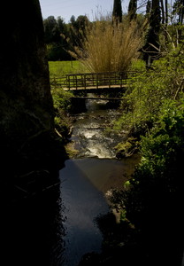 Ponticello campagna Sutri