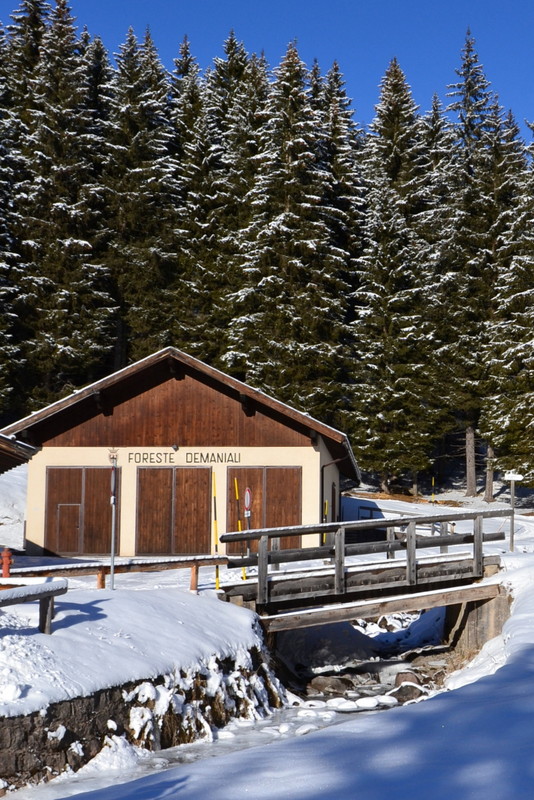 ''Un ponte…discusso'' - Predazzo