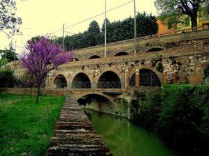 ponticello sul giardino