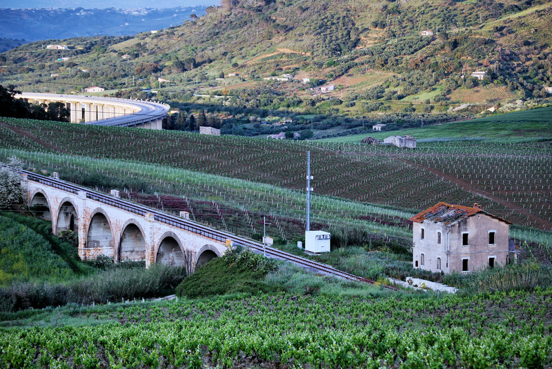 ''…calatafimi…'' - Calatafimi Segesta