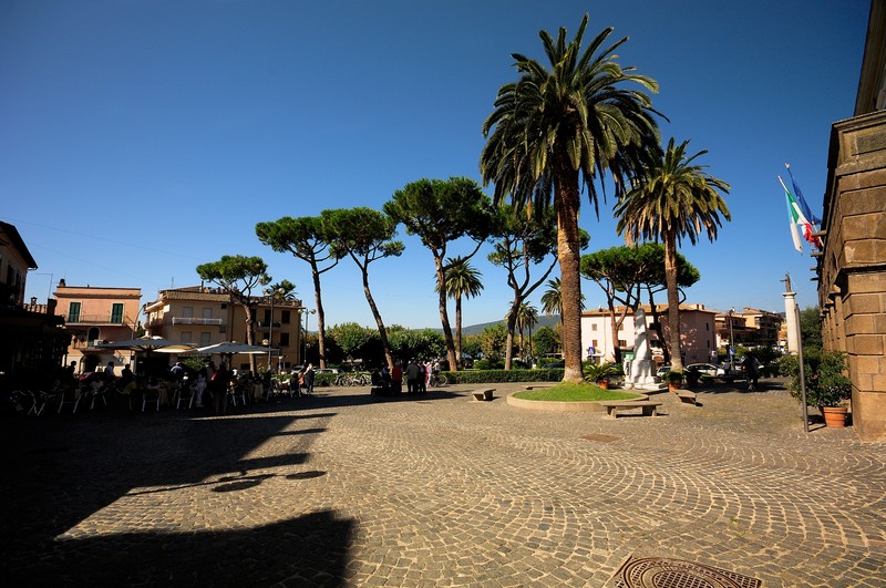 ''Ritratto di una palma'' - Trevignano Romano